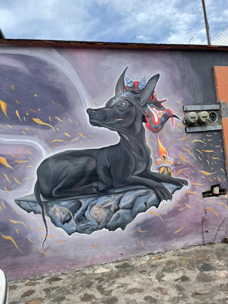 Urban Art Bike Tour Oaxaca