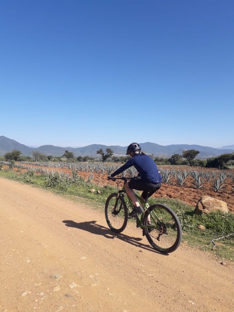 Camino Real Bike Trail