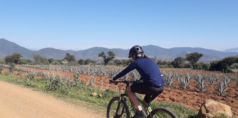 Camino Real Bike Trail
