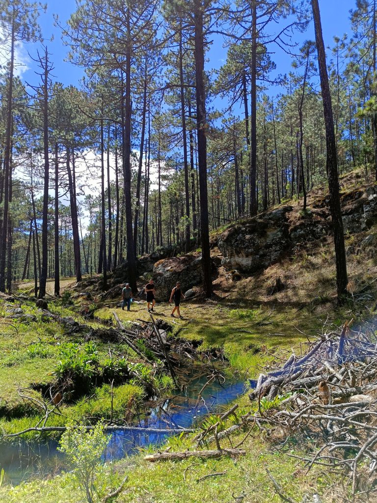 Cueva Iglesia Trek