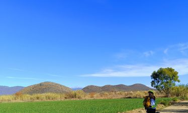 Camino Real Bike Trail