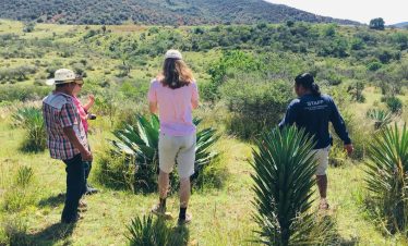 Mezcal Plantation Tour