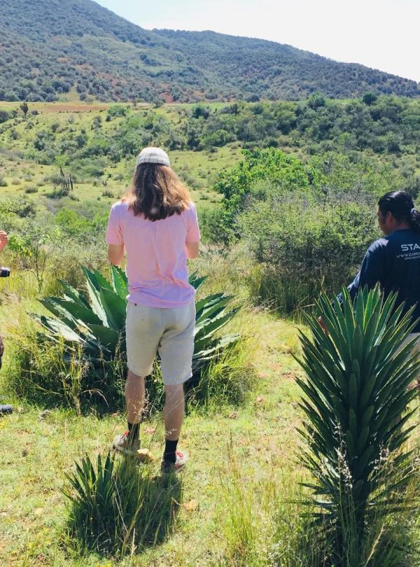 Mezcal Plantation Tour