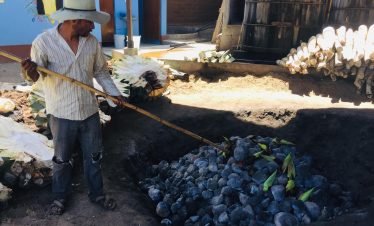 Mezcal Plantation Tour