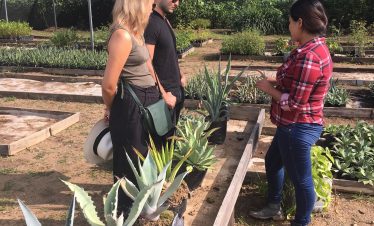 Mezcal Plantation Tour