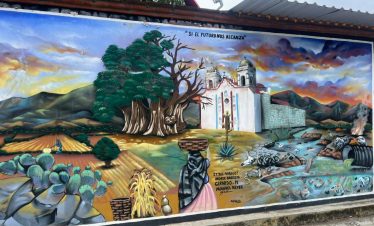 Tule Tree Bike Tour