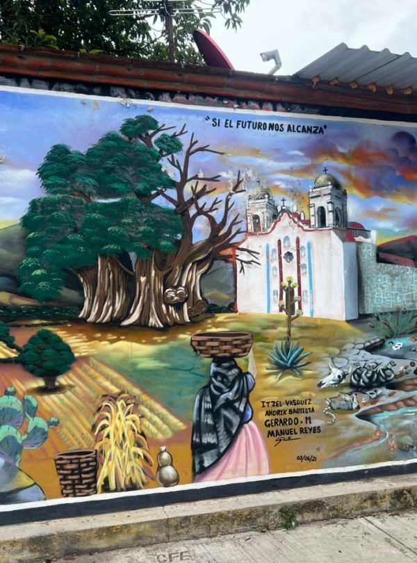 Tule Tree Bike Tour