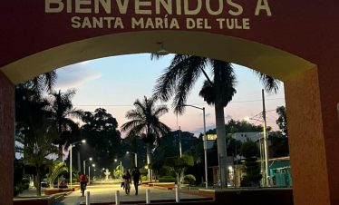 Tule Tree Bike Tour