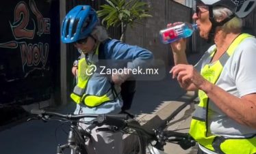 Tule Tree Bike Tour