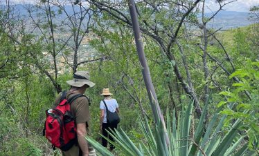 Monte Albán - Arrazola Trek