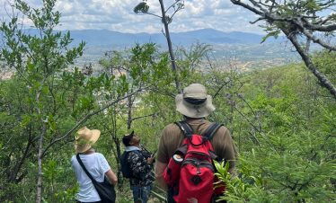 Monte Albán - Arrazola Trek
