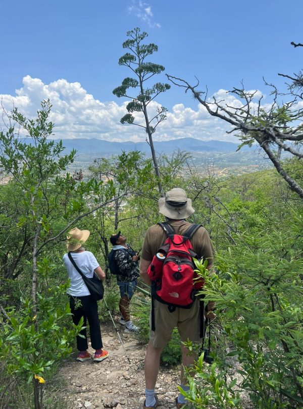 Monte Albán - Arrazola Trek