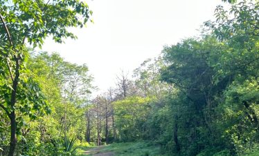 Monte Albán - Arrazola Trek